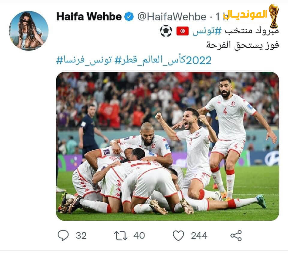 هيفا وهبي بفوز تونس